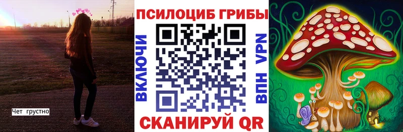 Псилоцибиновые грибы MAGIC MUSHROOMS гидра Белокуриха